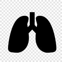 Krebs, Asthma, COPD, Emphysem symbol