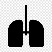 cancer, smoking, pneumonia, bronchitis icon svg