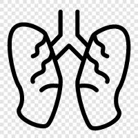 cancer, COPD, emphysema, asthma icon svg