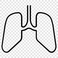 Cancer, Lung Diseases, Lung Inflammation, Lung Scarring icon svg