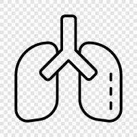 cancer, smoking, emphysema, COPD icon svg