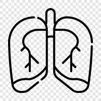 cancer, lung cancer, emphysema, COPD icon svg