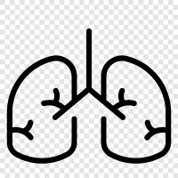 Cancer, Lung diseases, Lung cancer, Bronchitis icon svg