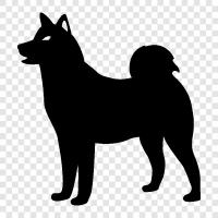 canine, animal, pet, furry icon svg