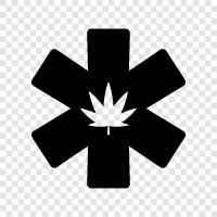 Cannabis, THC, CBD, medical marijuana laws icon svg