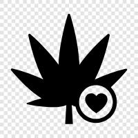 Cannabis, THC, CBD, strains icon svg