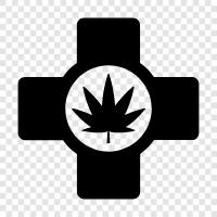 Cannabis, Cannabis oil, Medical marijuana, Cannabis strains icon svg
