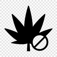 cannabis, marijuana, weed, dagga icon svg