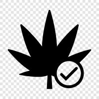 cannabis, weed, 420, pot icon svg