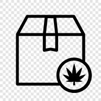 cannabis delivery service, cannabis delivery state, cannabis delivery near me, cannabis delivery icon svg