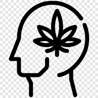 cannabis effects, cannabis plant, cannabis strains, cannabis oil icon svg