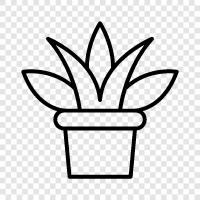 kenevir, grow, grow pot, kannabis bitki ikon svg