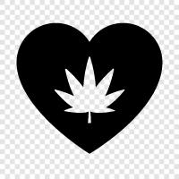 cannabis health, cannabis oil, cannabis strains, cannabis for health icon svg