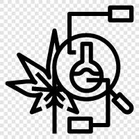 Cannabis Legalisierung, Cannabisanbau, Cannabisproduktforschung, Cannabisindustrie symbol