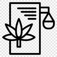 cannabis legalization, cannabis regulation, cannabis decriminalization, cannabis legalization progress icon svg