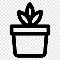 cannabis, weed, cannabis plant, hemp icon svg