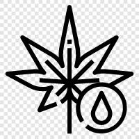 Cannabisöl für Schmerzen, Cannabisöl für Krebs, Cannabisöl für Angst, Cannabisöl symbol