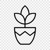 Растение каннабиса, марихуана, каннабис, сорняки Значок svg