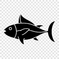 Thunfischkonserven, Thunfischsalat, Thunfischnudel, Thunfischsteak symbol