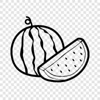 cantaloupe, honeydew, seedless, sweet icon svg