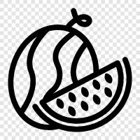 cantaloupe, honeydew, seedless, wedge icon svg