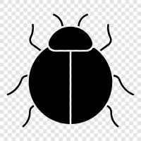 car, toy, bug, flying icon svg