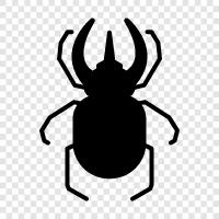 car, bug, driving, flying icon svg