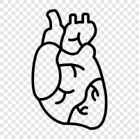 Cardiology, Aortic aneurysm, Arrhythmia, Heart icon svg