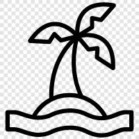 Caribbean, cruise, island cruise, Caribbean cruise icon svg