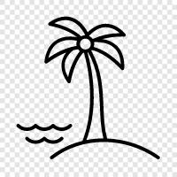 Caribbean, Puerto Rico, Virgin Islands, island icon svg