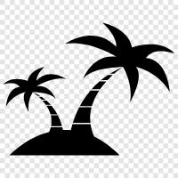 Caribbean, swimming, sun, sand icon svg