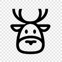 caribou, reindeer herding, reindeer farming, reindeer icon svg