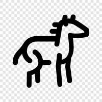 carriage, horseback riding, horse racing, horse breeding icon svg