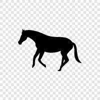 carriage, horseback riding, racehorse, breeding icon svg
