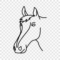 carriage, horseback, pony, breed icon svg