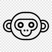 cartoon monkey, funny monkey, adorable monkey, monkey face icon icon svg