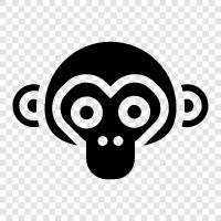 cartoon monkey, funny monkey, cute monkey, funny pictures of monkeys icon svg