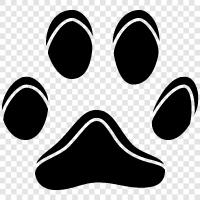 Cat Track, Cat Scratch, Cat Footprints, Cat Muzzle icon svg