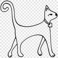 cats, house cat, domestic cat, felines icon svg