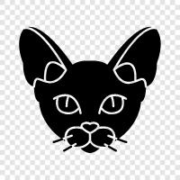 cats, black, white, tuxedo icon svg