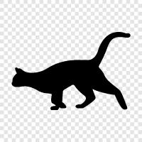 cattery, house, pet, animal icon svg