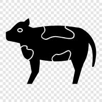 Rinder, Milchprodukte, Fleisch, Rindfleisch symbol