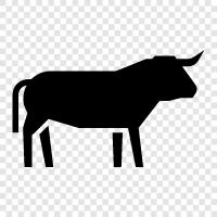 cattle, farm, ranch, bulldog icon svg