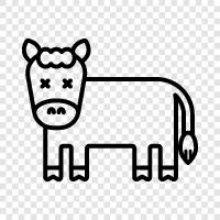 cattle, animal, farming, health icon svg