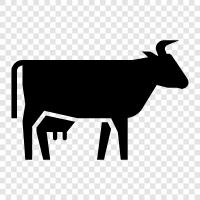 cattle, beef, milk, cheese icon svg