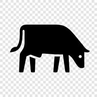 Cattle Grazing, Rangeland, Grazing, Wildlife icon svg