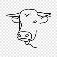 cattle, beef, bovine, livestock icon svg