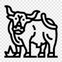 cattle, beef, farming, ranching icon svg