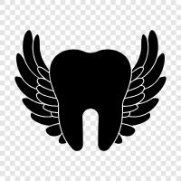 cavity, toothache, rotten tooth, decay icon svg