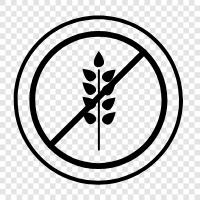 Celiac Disease, Gluten Intolerance, Gluten Free Recipes, Gluten Free icon svg